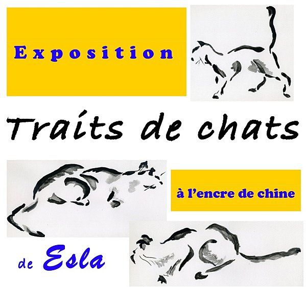 20110830-affiche-chat-voltonia