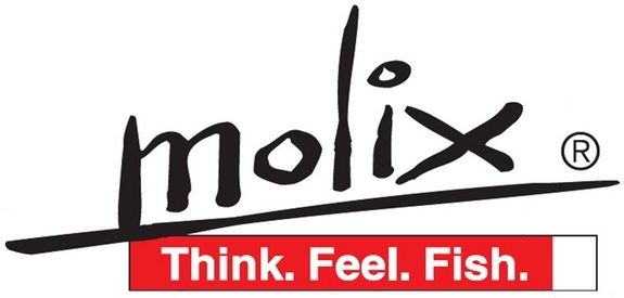 Site Molix logo-molix-copie-1.jpg
