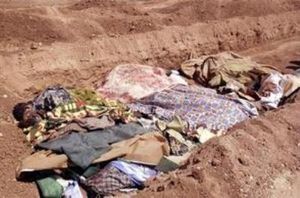 Daraya_texte.jpg