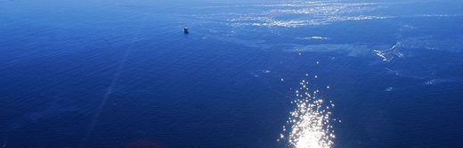 Mar_e_Noire_Golfe_Mexique_OilP.jpg