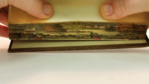 Des peintures secrètes cachées dans des reliures 0000000000000000000000000000000000000000000000000000000