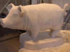 5-cochon-photo-sculpture-sculi.JPG