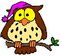 GIF HIBOU 2
