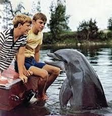 Flipper.jpeg