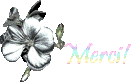 DE TOUT COEUR, je vous remercie de votre visite Merci.gif