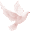 musique d'ange - www.revelessencedesoi.com - GRATITUDE ferduva-copie-1