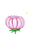 0002