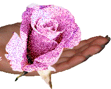 8q9ey1sl11