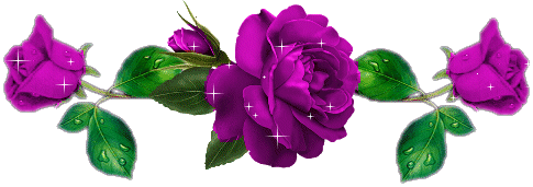 barre-roses-violettes.gif