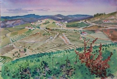 100_1949-copie-1.jpg