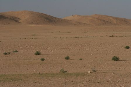 désert Syrie ER