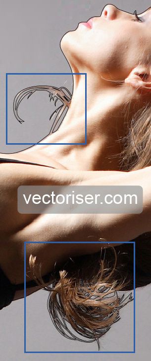 Vectoriser Silhouette Vectorielle Illustrator 03