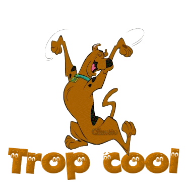 94969493gif-trop-cool-gif.gif