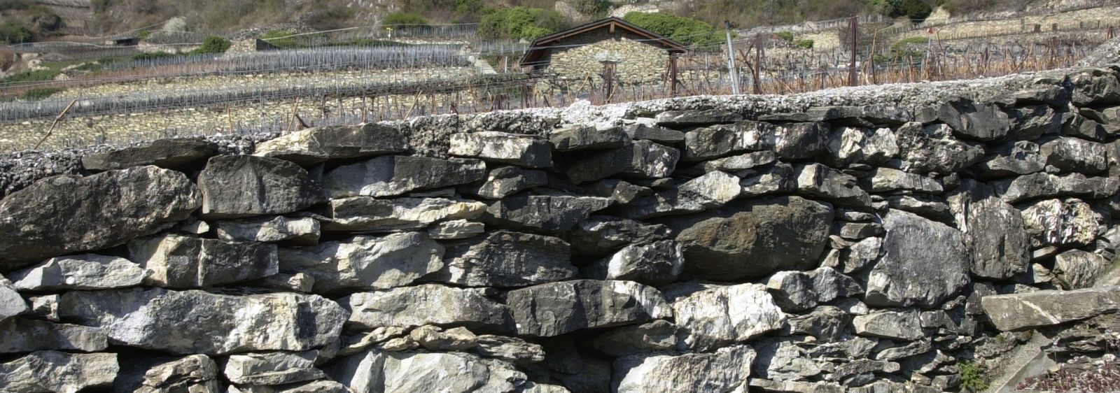 Hommage aux vignerons Valaisans qui ont façonnés grace à leur savoir-faire de magnifiques murs en pierre de taille.