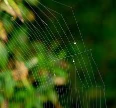 a la rencontre du seigneur seigneur tu nous appelles