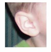 ears.jpg