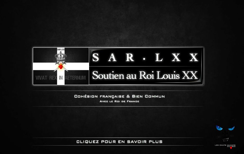 Louis XX Blog.002