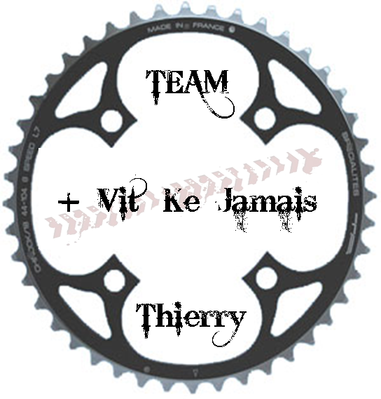 Logo Team Thierry