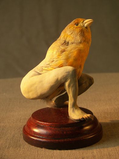 mancusaucellusi.jpg