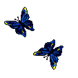 animaux-papillon-00006.gif