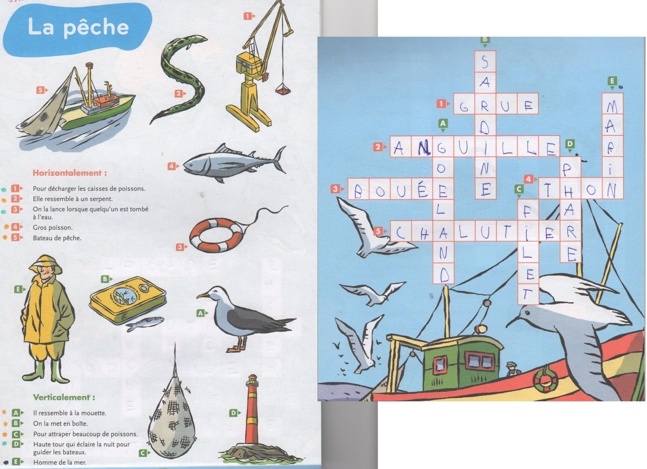Le choc-leader sur la pêche dhiver