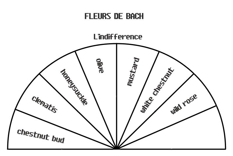 Cadrans pendule des Fleurs de Bach à télécharger - Le blog de Divination au  pendule