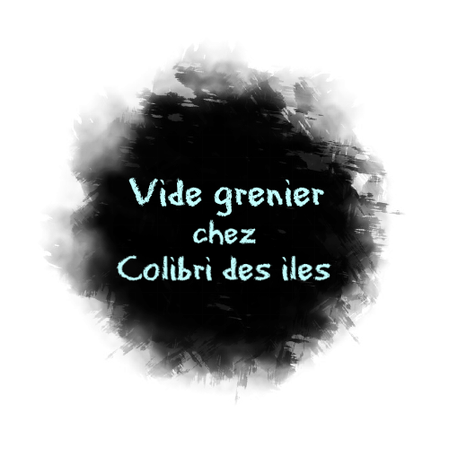 vide-grenier.png