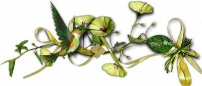 colibri-vert.jpg
