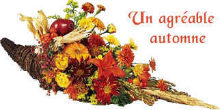 fleurs,brillantes,qui,disent,un,agreable,automne.gif