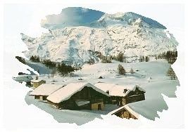 Noël Noel