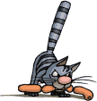 5398-felin-gifs-12