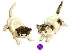 chats balle