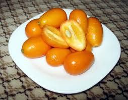 kumquat-2.jpg