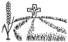 image002-copie-26.jpg