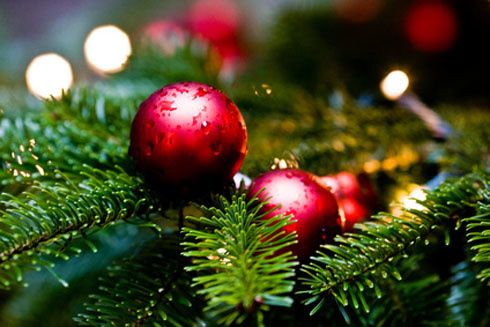 arbre-noel.jpg