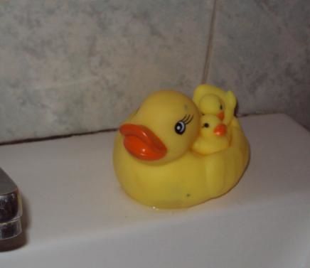 canard