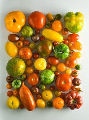 pomodori---diversita-1-.jpg