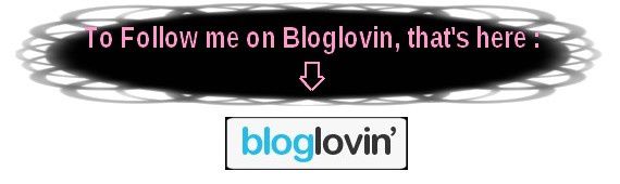 Bloglovin-02.jpg