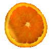 fruit 063