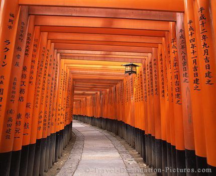 torii-tunnel_1402.jpg