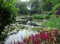 jardins-de-monet-a-Giverny.jpg