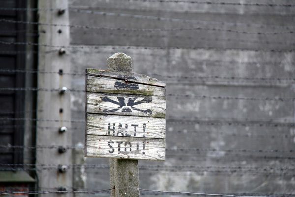 Auschwitz--15-.jpg