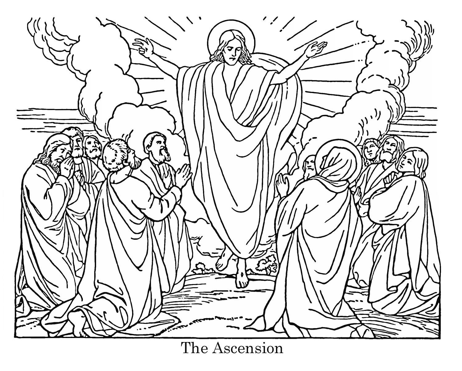 Ascension 14