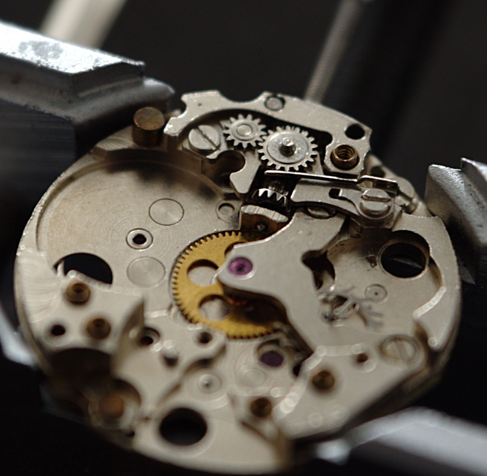 Seiko 4205 "midsize": le renouveau! IMGP0974-0