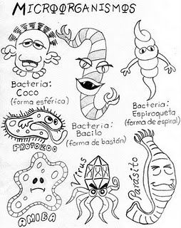 Microorganismos.jpg