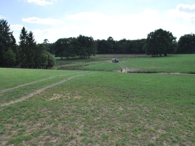 34
