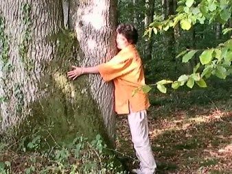 symbolisme des arbres flo et chêne2 0001