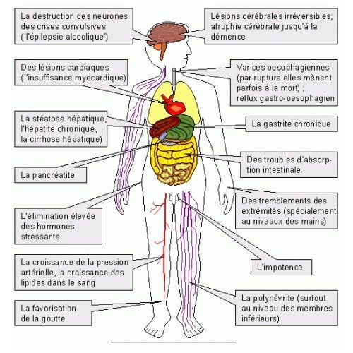 Quelle préparation effectif de lalcoolisme