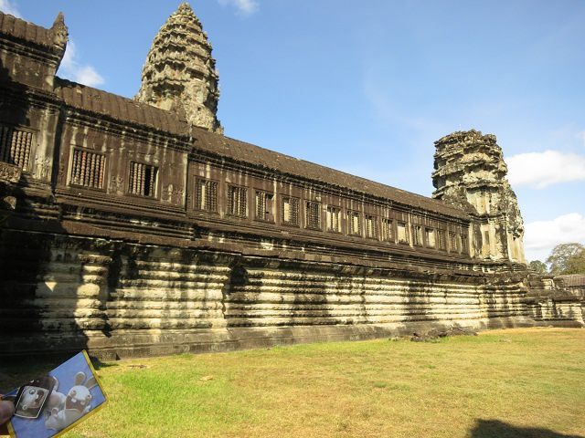 lapin cretin Angkor
