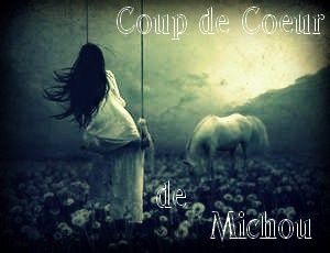 coup de coeur de michou